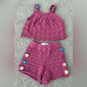 Zara Pink Knit Garment